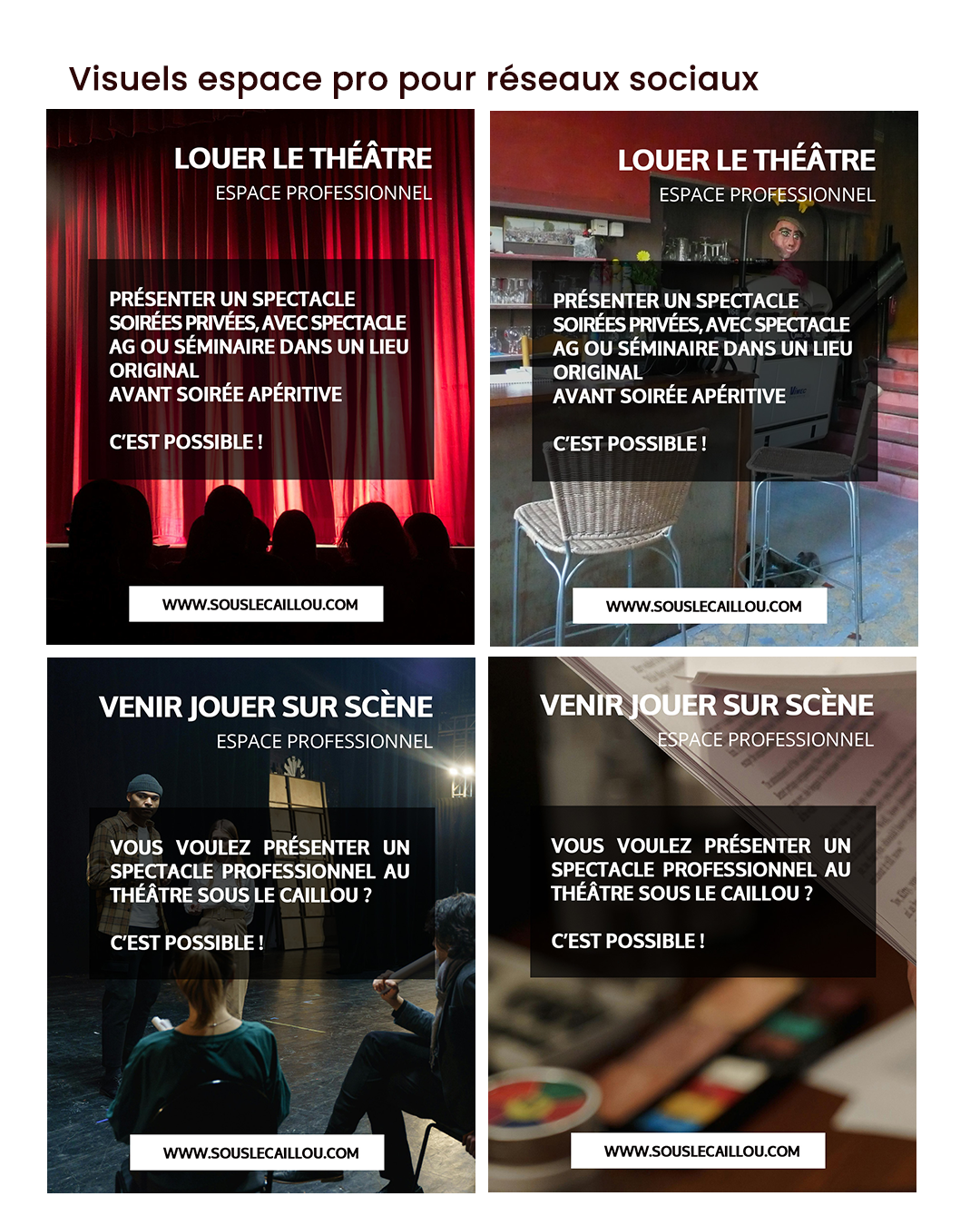 creation-visuels-pro-reseaux-sociaux-theatre-Sous-le-Caillou-Charlotte-Bebin